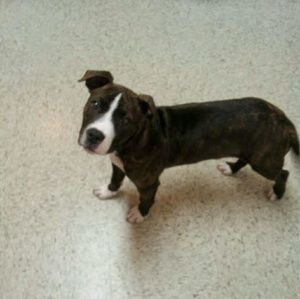 Meet your Posher, Marlene